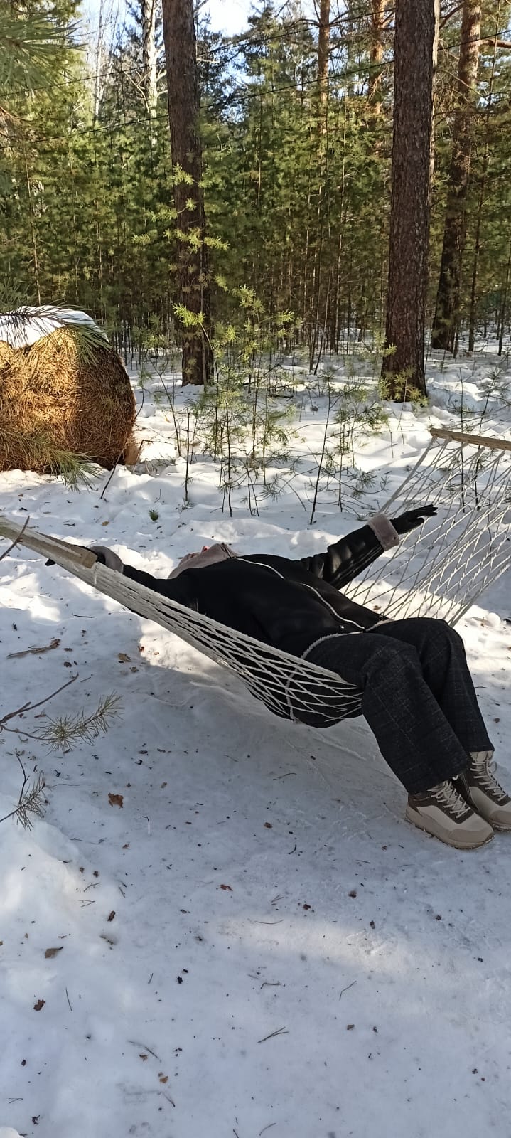 Фото Лесотерапия