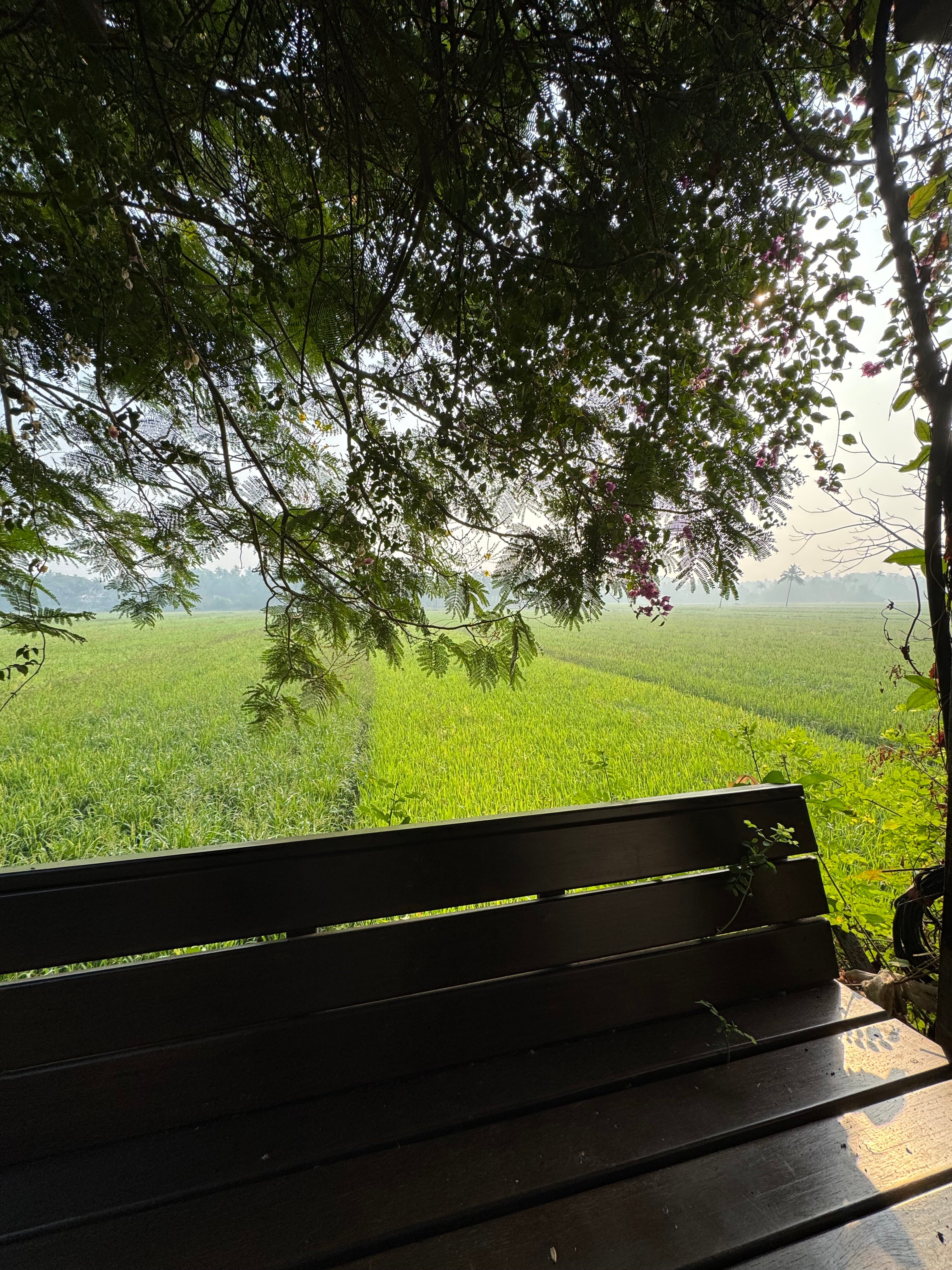 Фото Beleza by the Beach