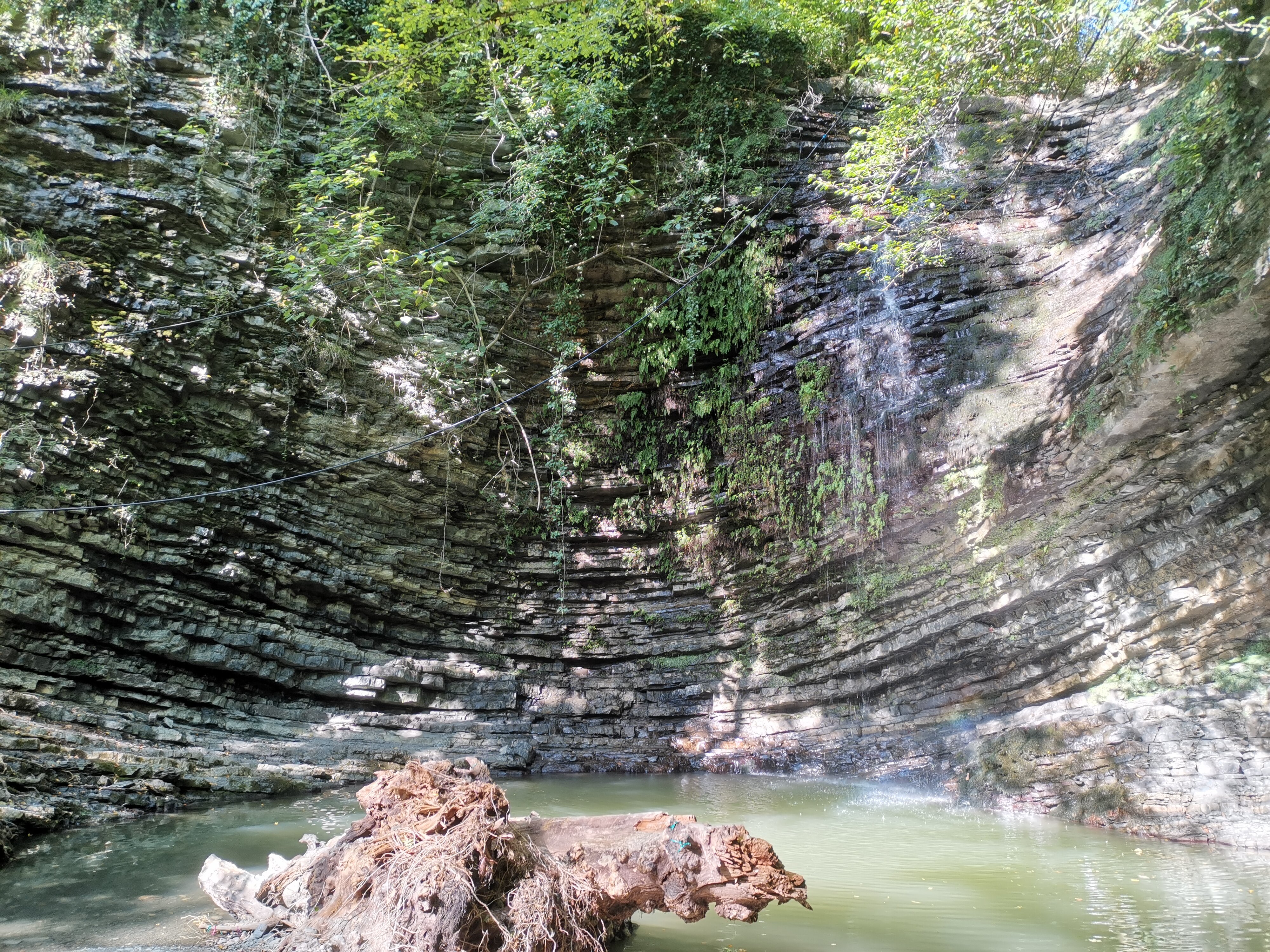 Фото Маргарита