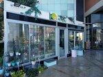 E2 Landscape - Florist (Анталья, район Коньяалты, бульвар Ататюрк, 3/4), магазин цветов в Анталье