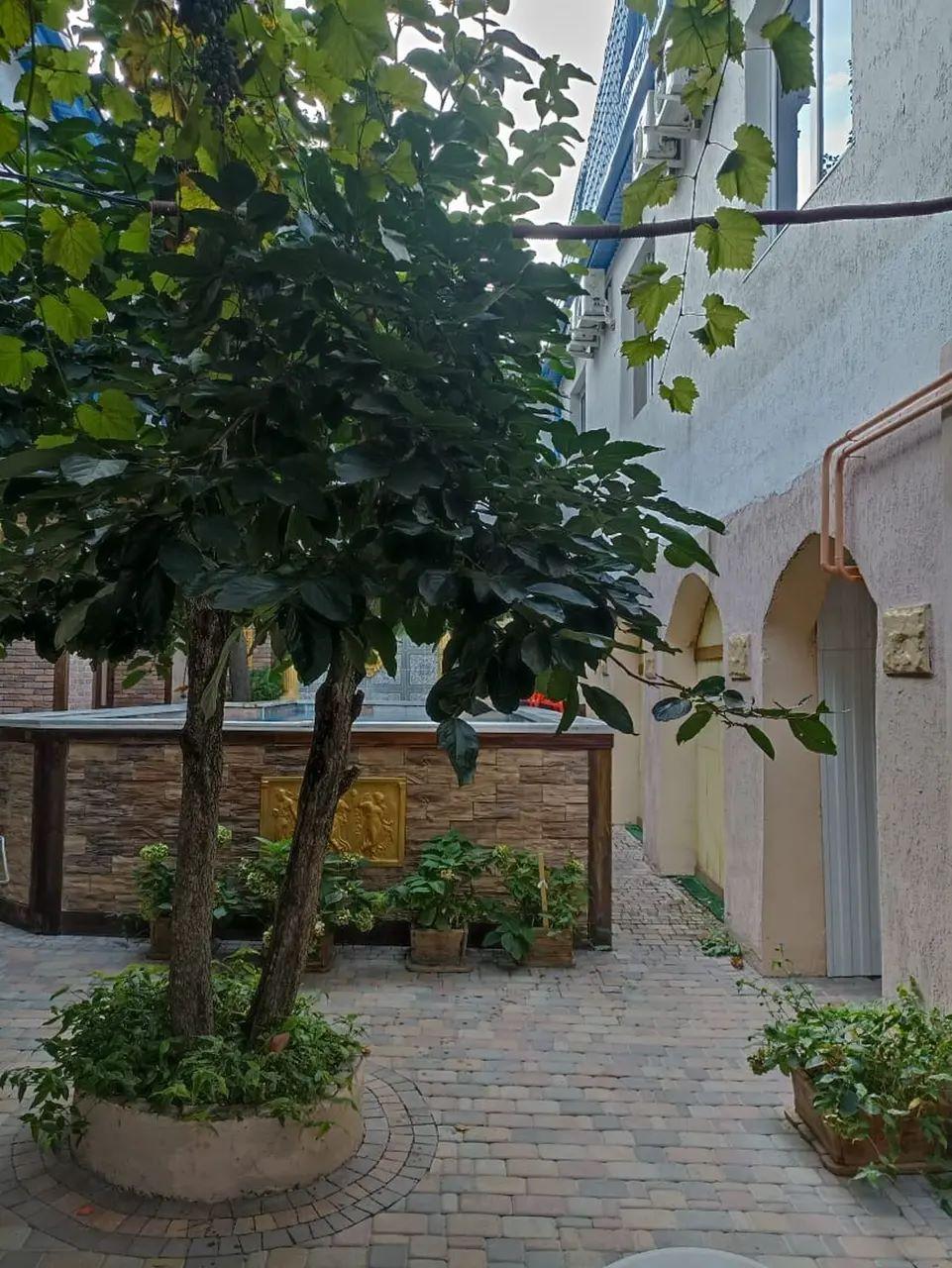 Фото Южный берег на Киевской