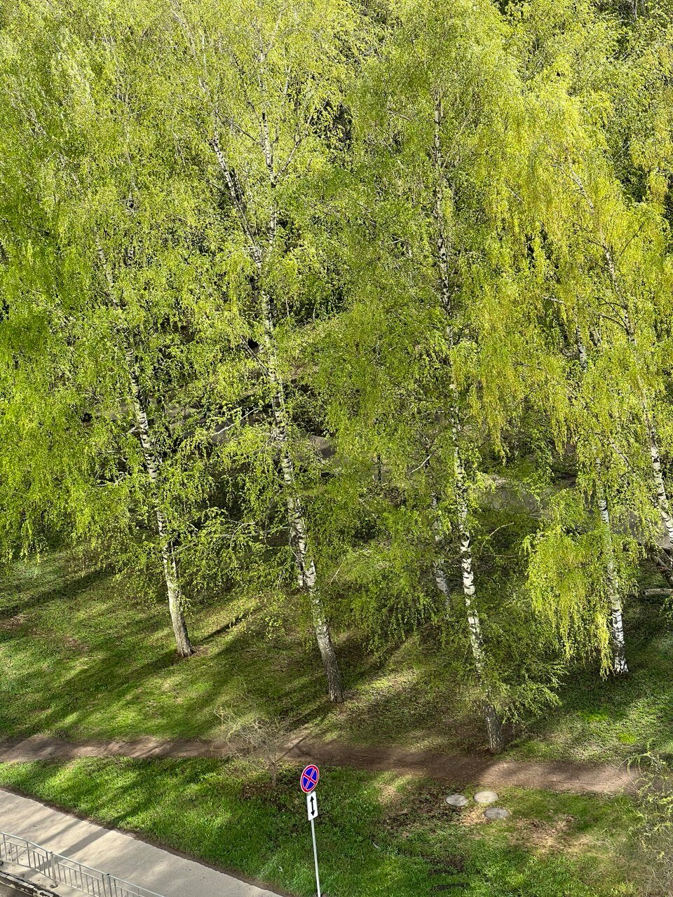 Фото Апартаменты возле Парка Пушкина