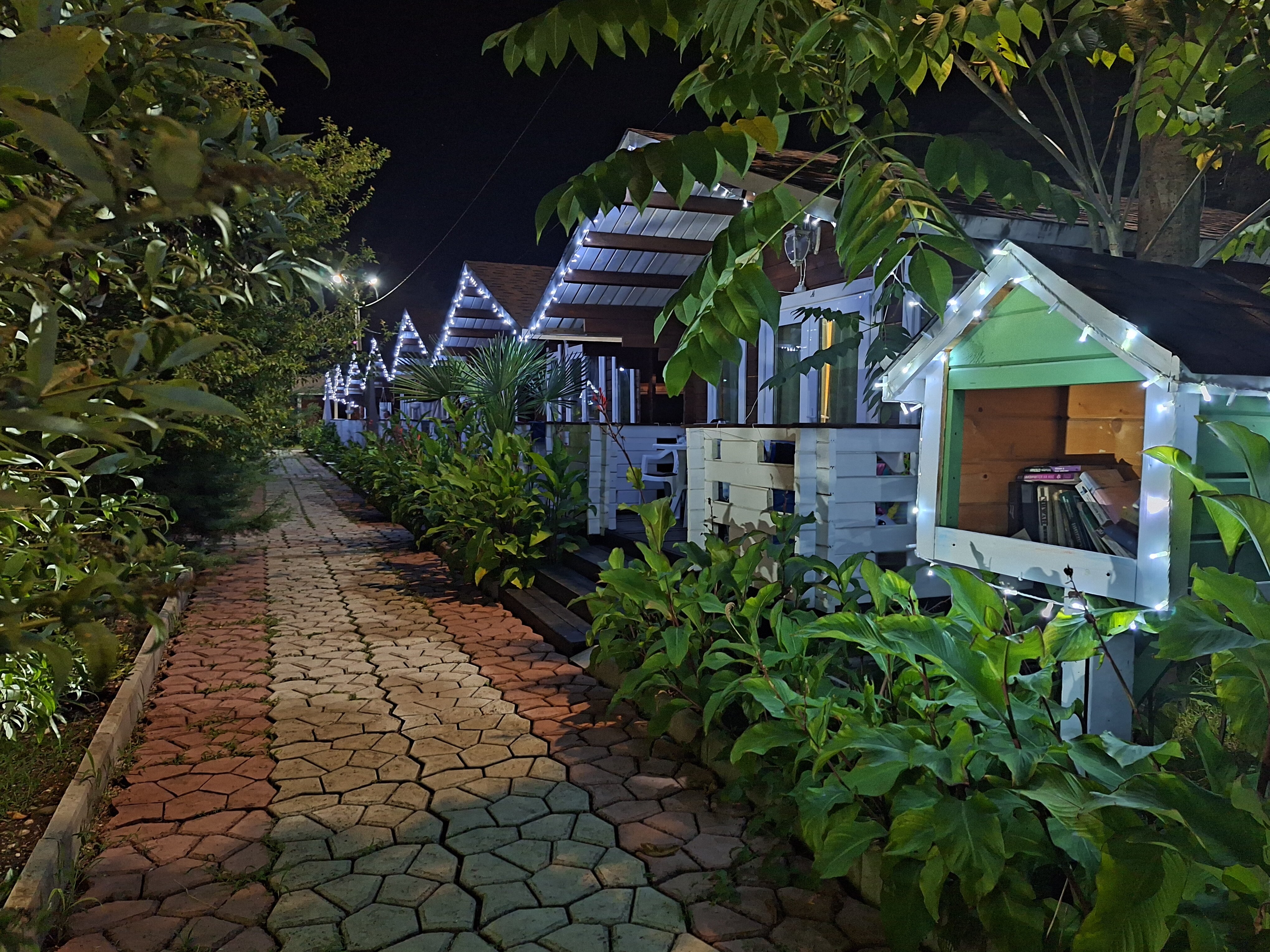 Фото Eco House Pitiunt