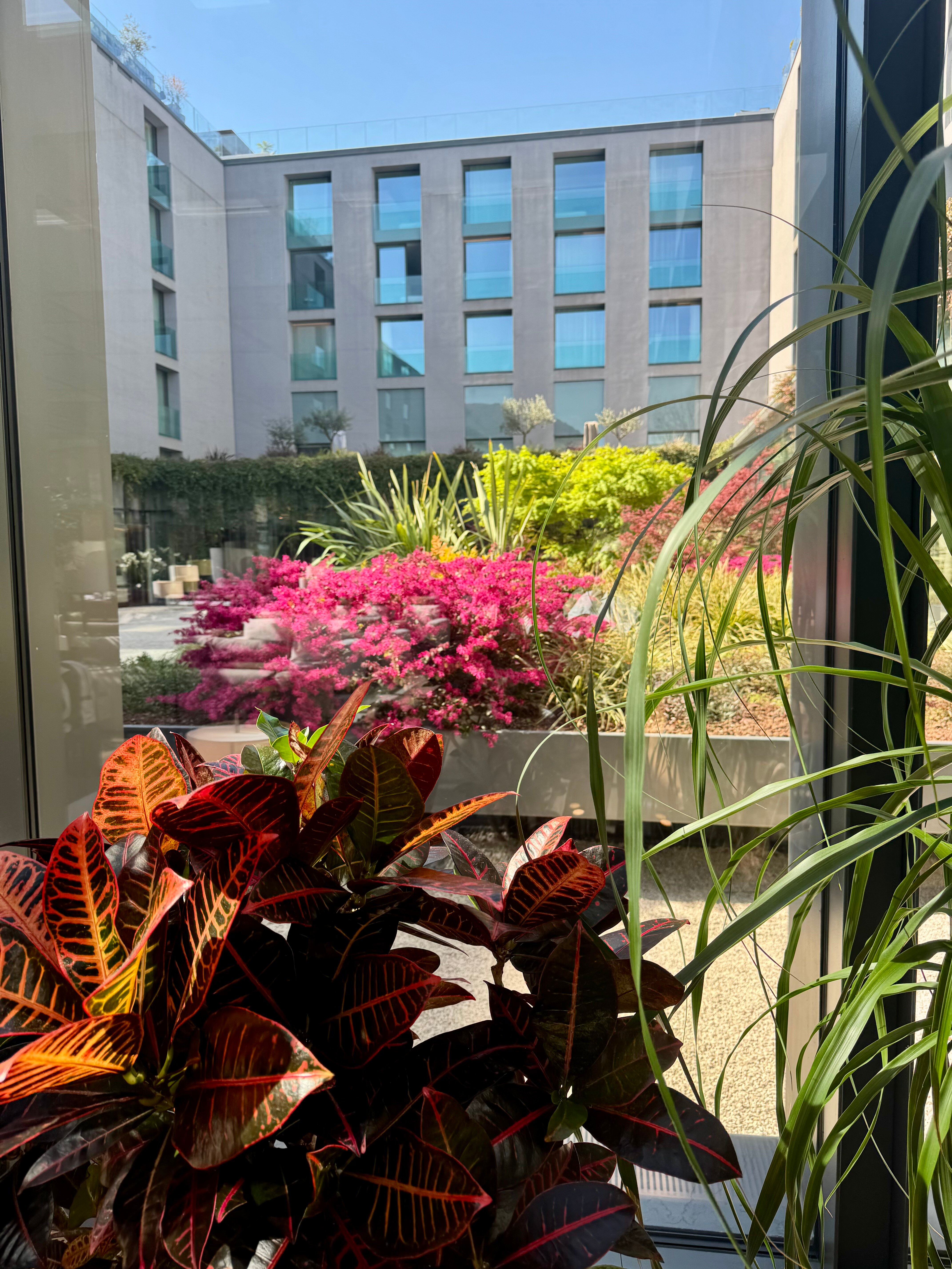 Фото Hilton Lake Como