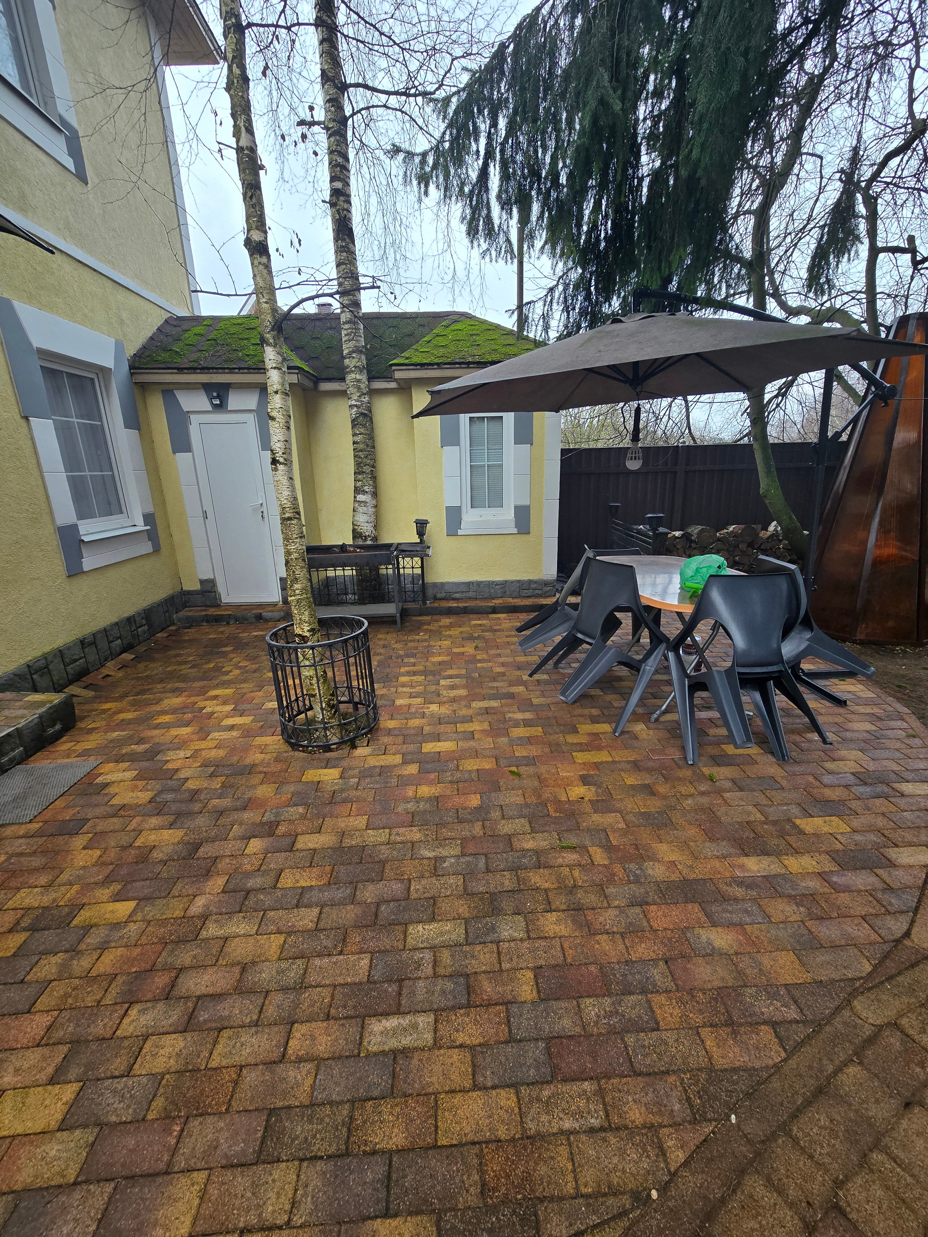 Фото Зеленый пейзаж