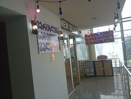 New silver Fotoğraf 2