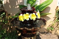 Фото Tan Kang Angkor Hotel