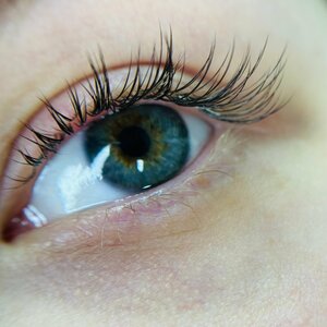 LashRoom (Moskovskiy prospekt, 57к4) ، شريط حاجب العين