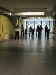 Start (istoricheskiy rayon Solombala, ulitsa Kedrova, 34с2), shooting club, shooting range