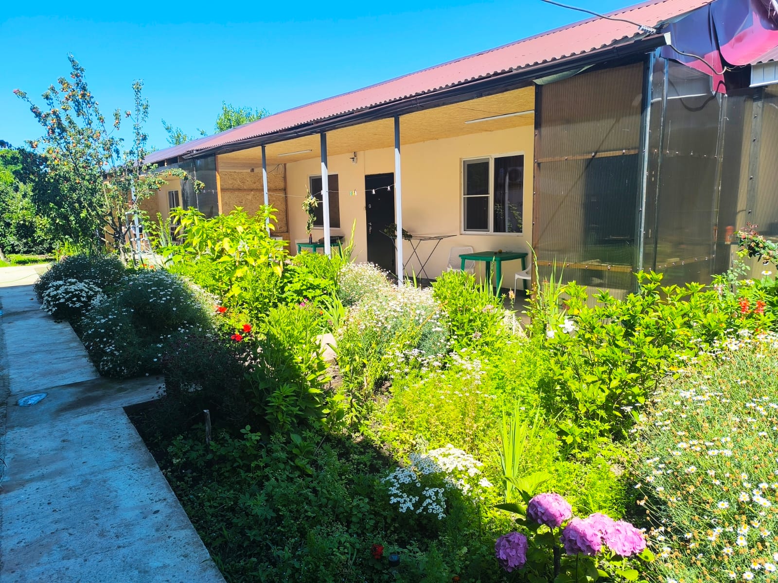 Фото Черноморский Оазис