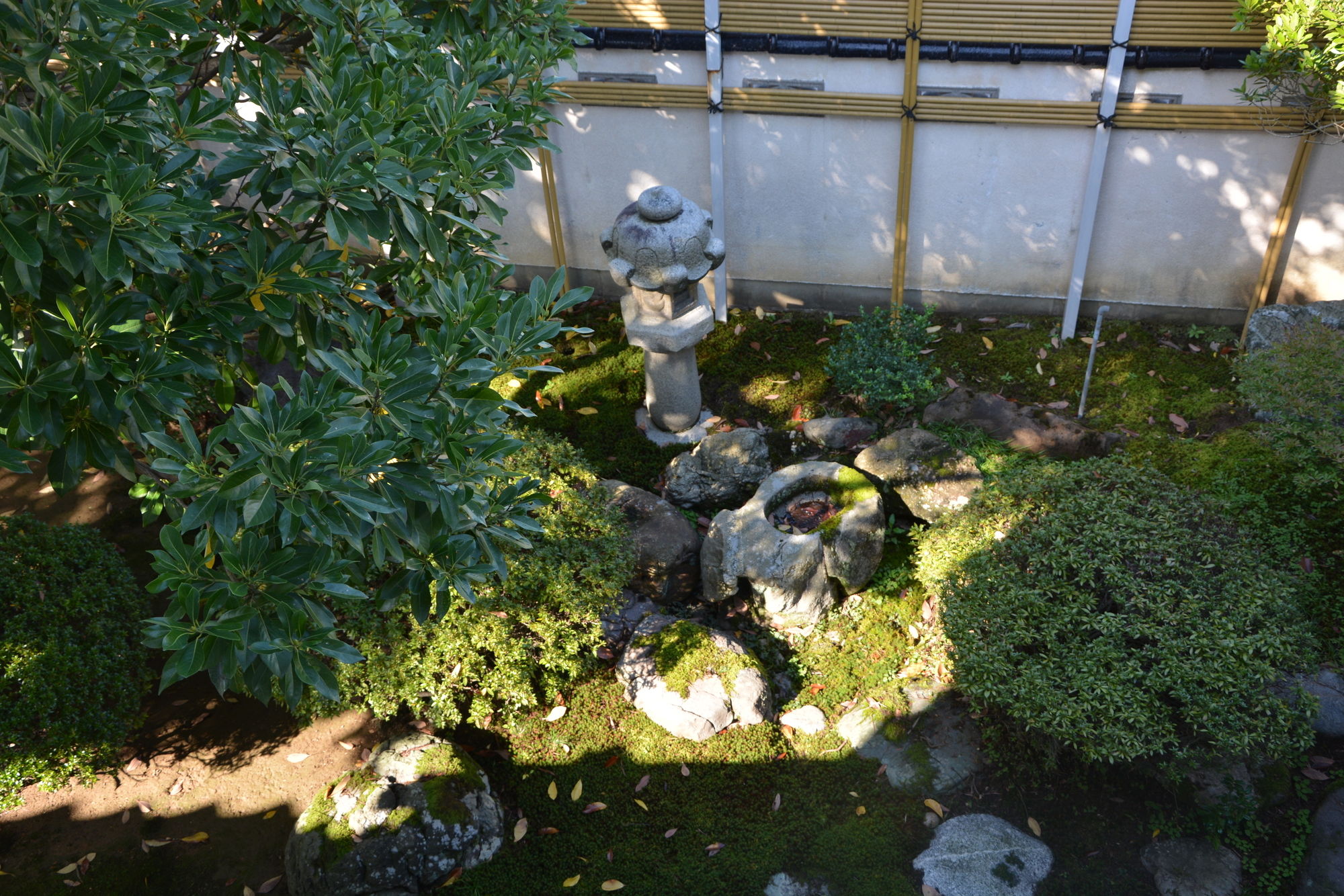 Фото Katsuzakikan