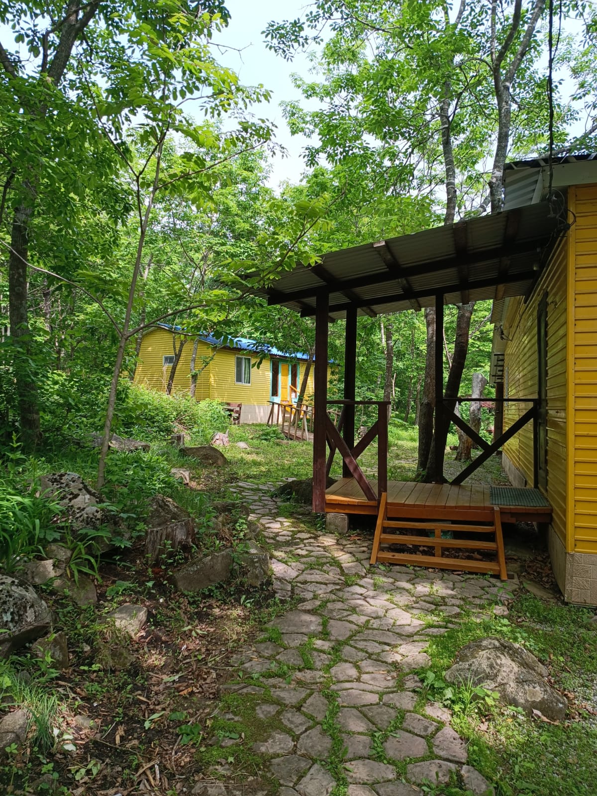 Фото Камень Льва