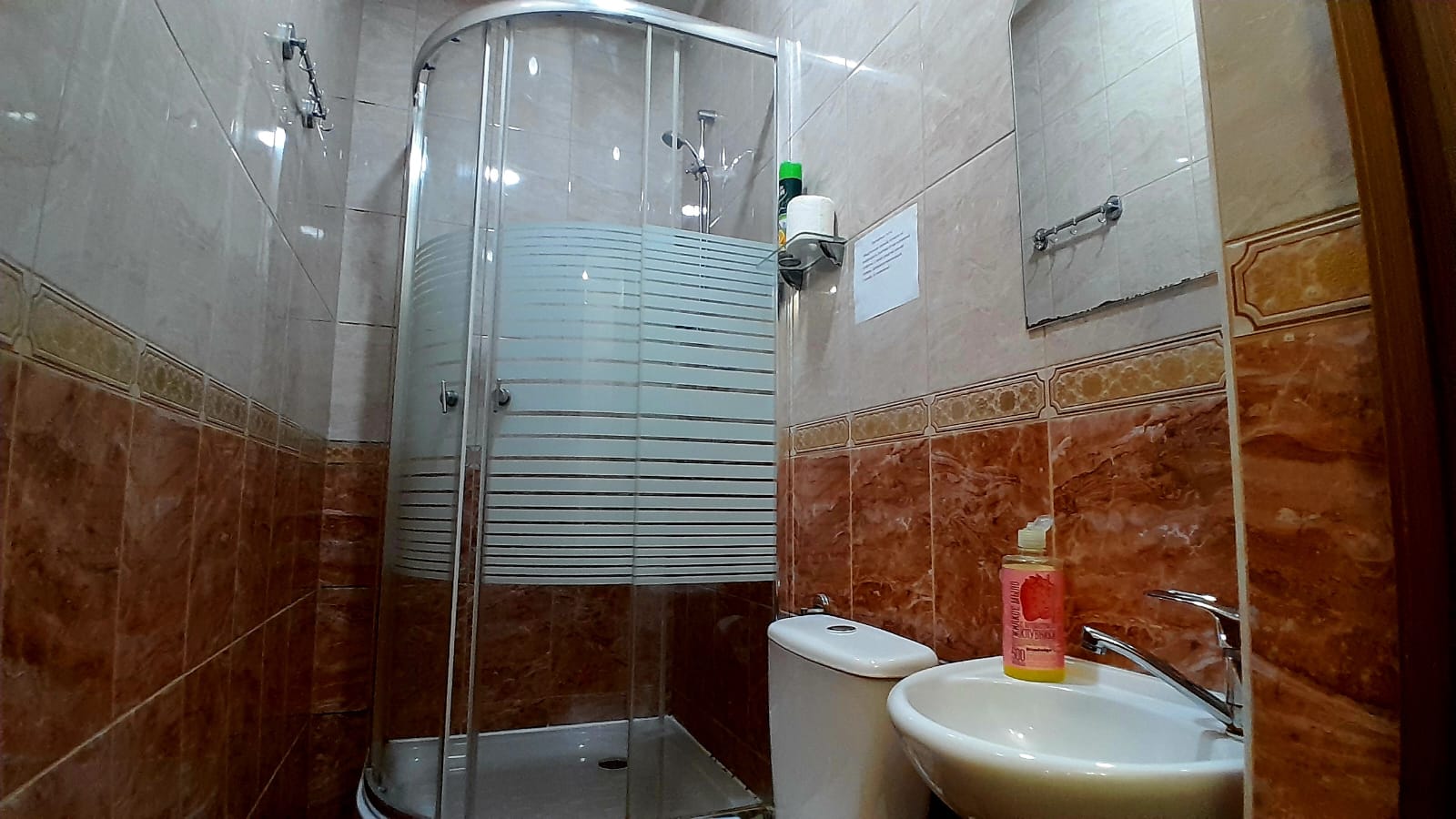 Фото Колибри