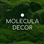 Molecula Decor (Pushkinskaya Street, 223А), interior goods