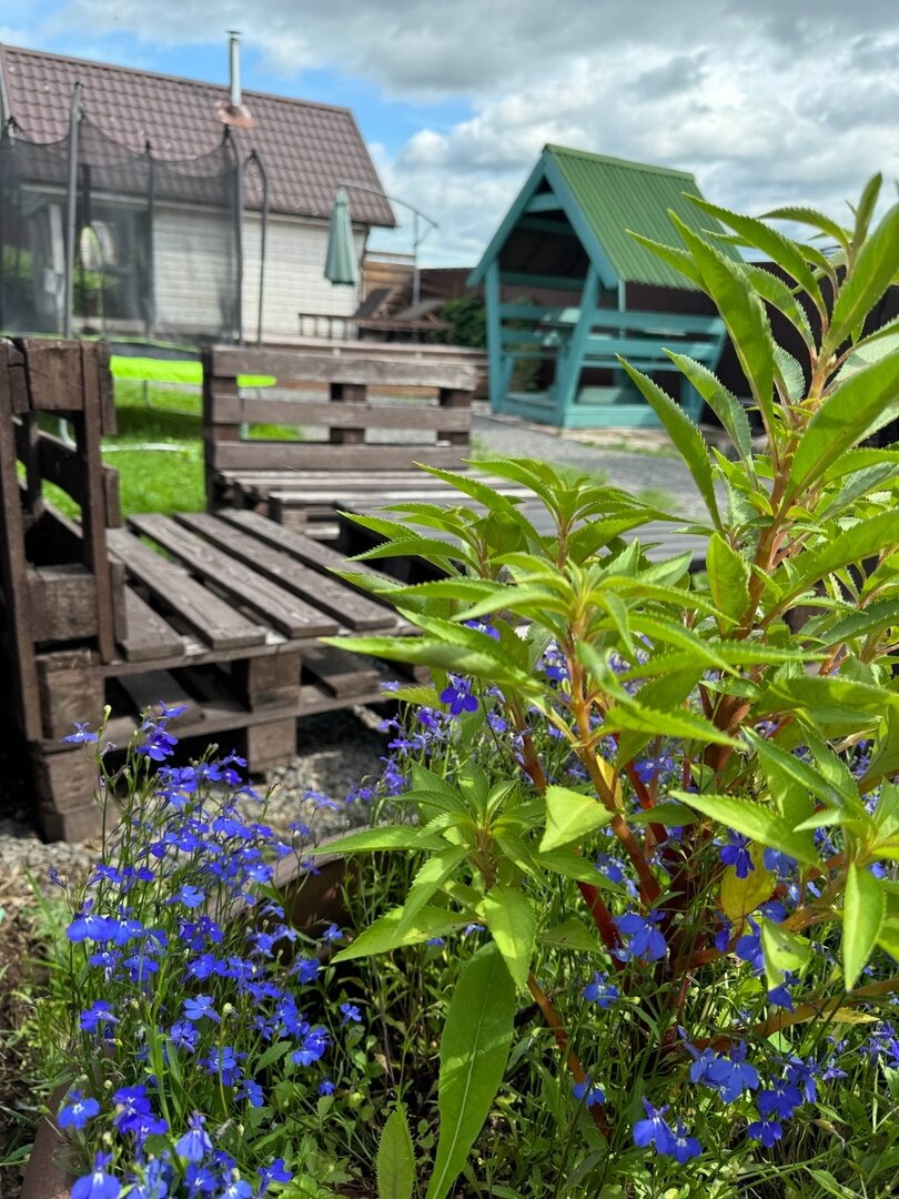 Фото Резиденция