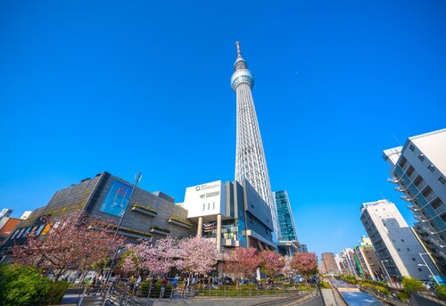 Гостиница Tokyo City View Hotel Tabata Station в Токио