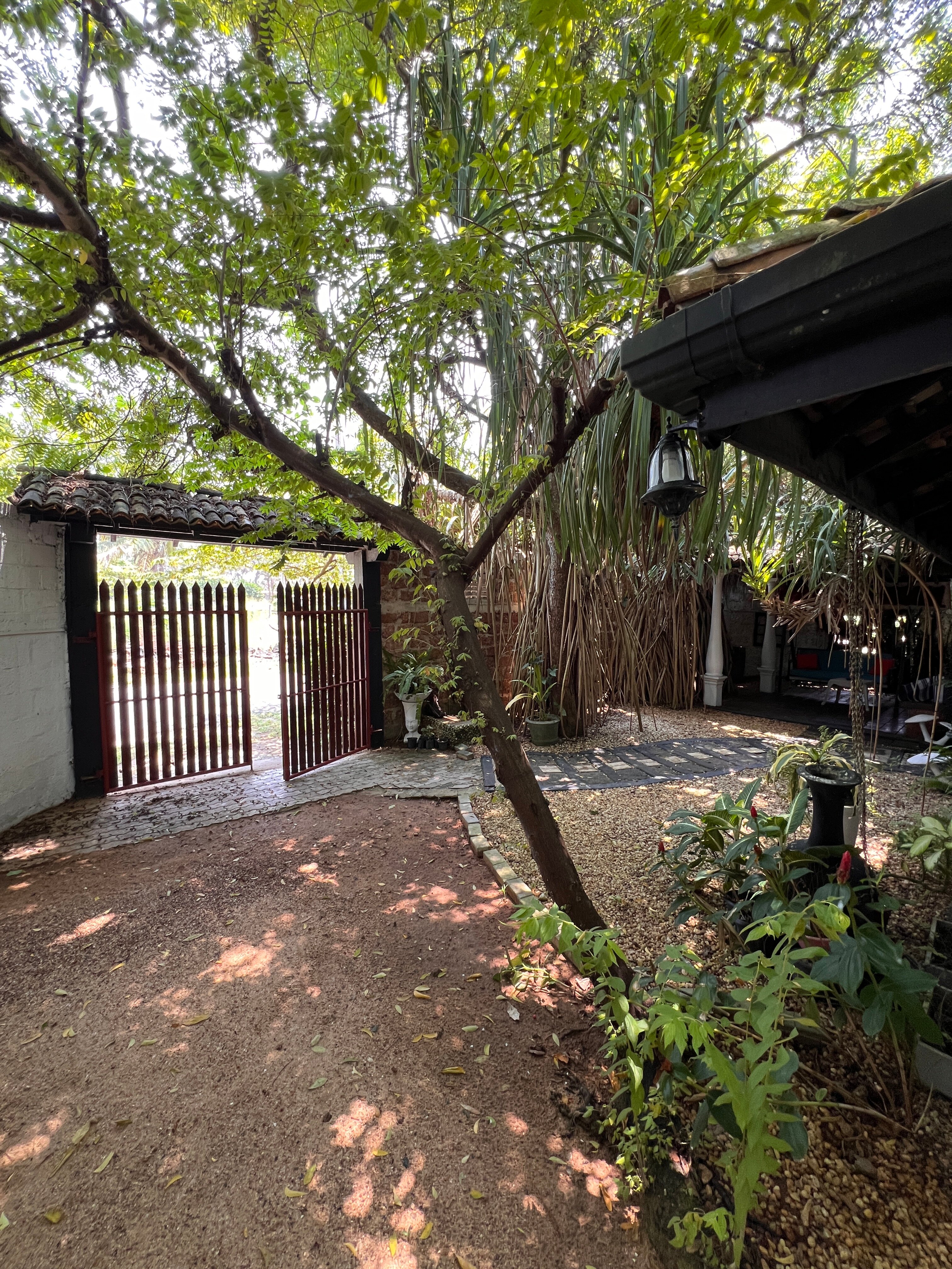 Фото Whispering Ocean