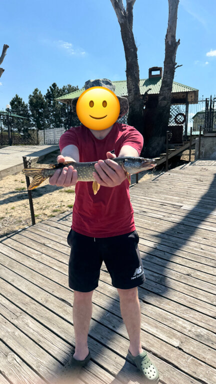 Фото Бристоль