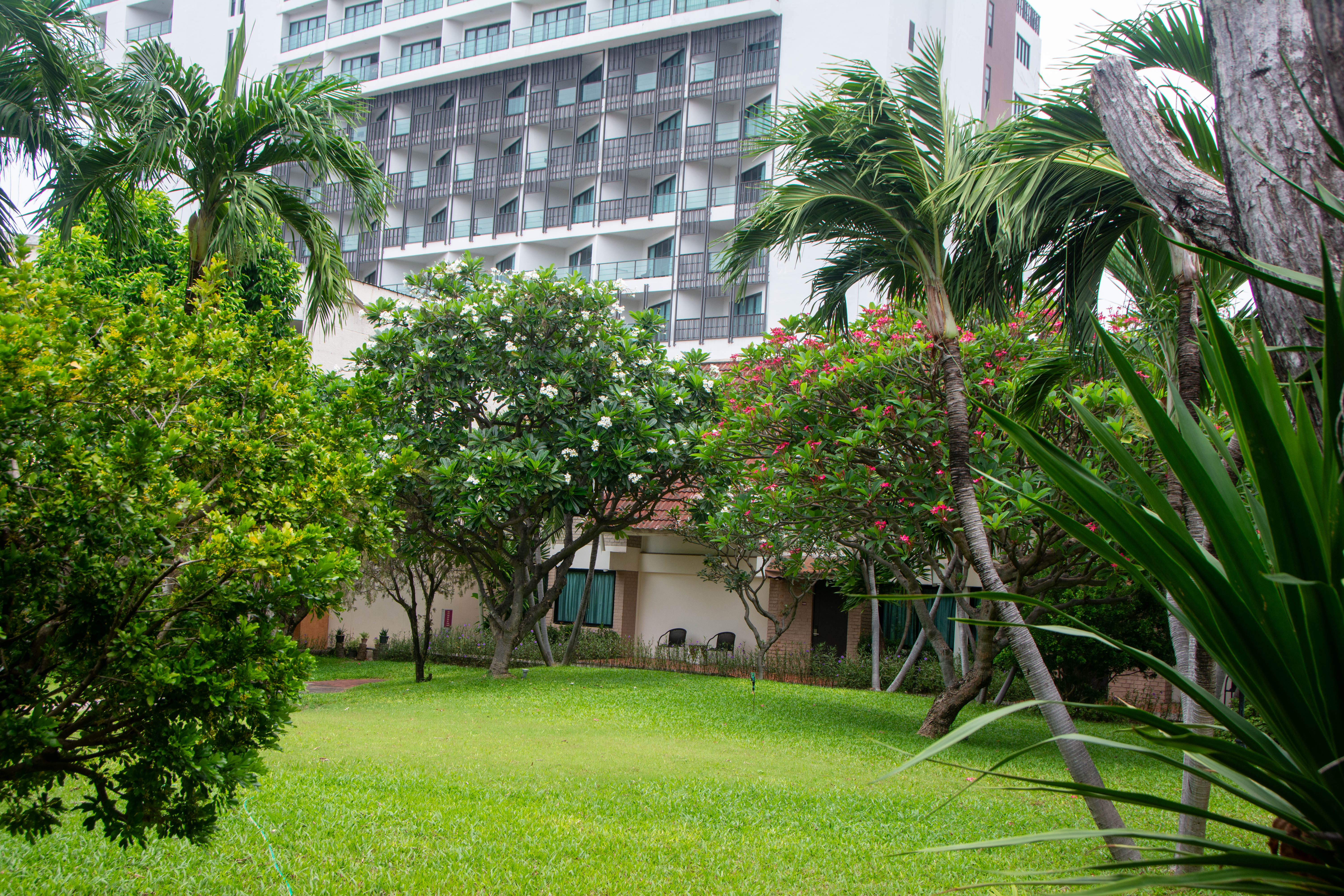 Фото Hotel Tropicana Pattaya