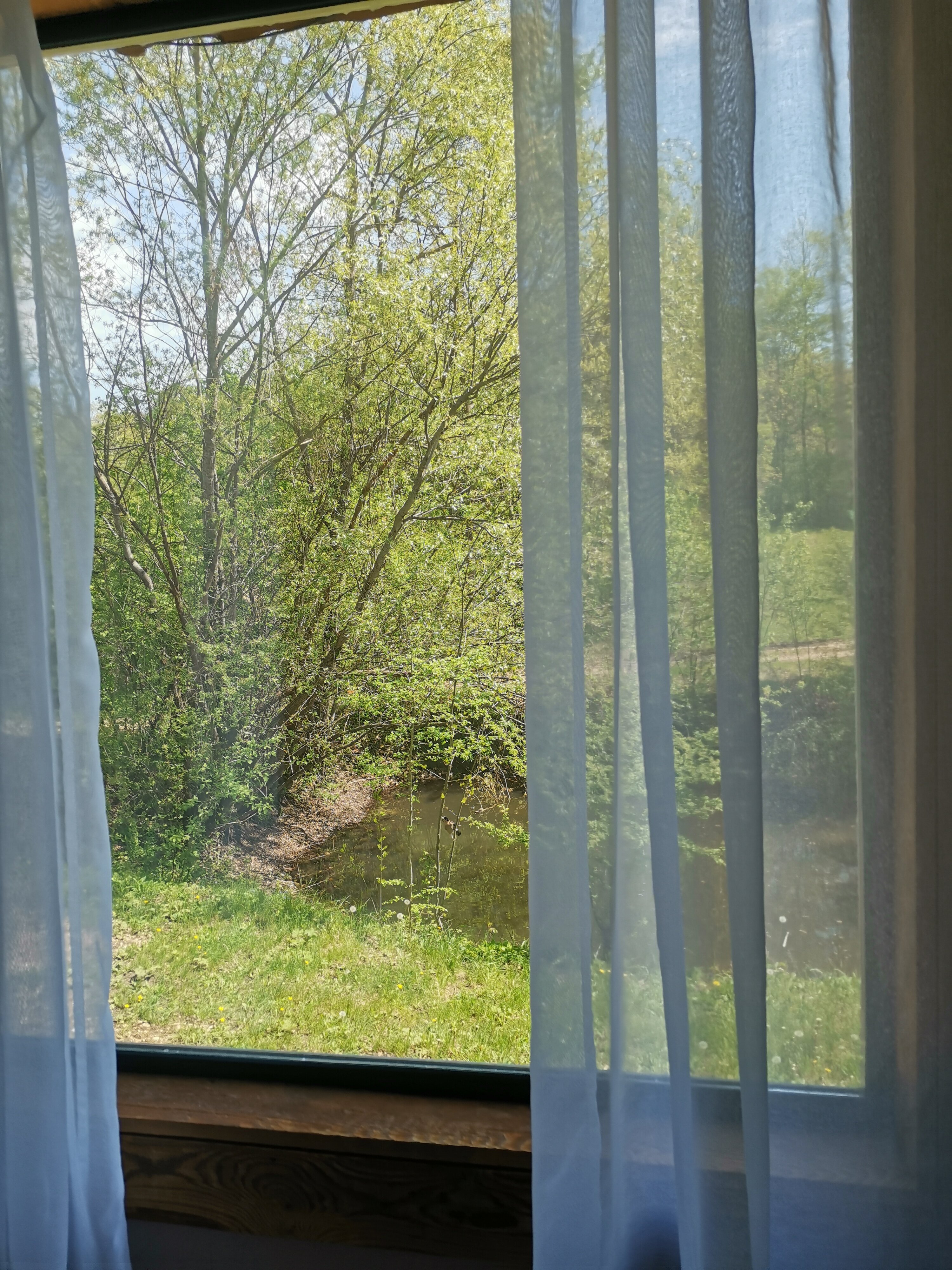 Фото Грушевая вода