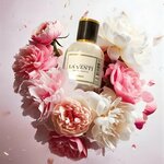 La’Venti (Dekabristov Street, 17), perfume and cosmetics shop