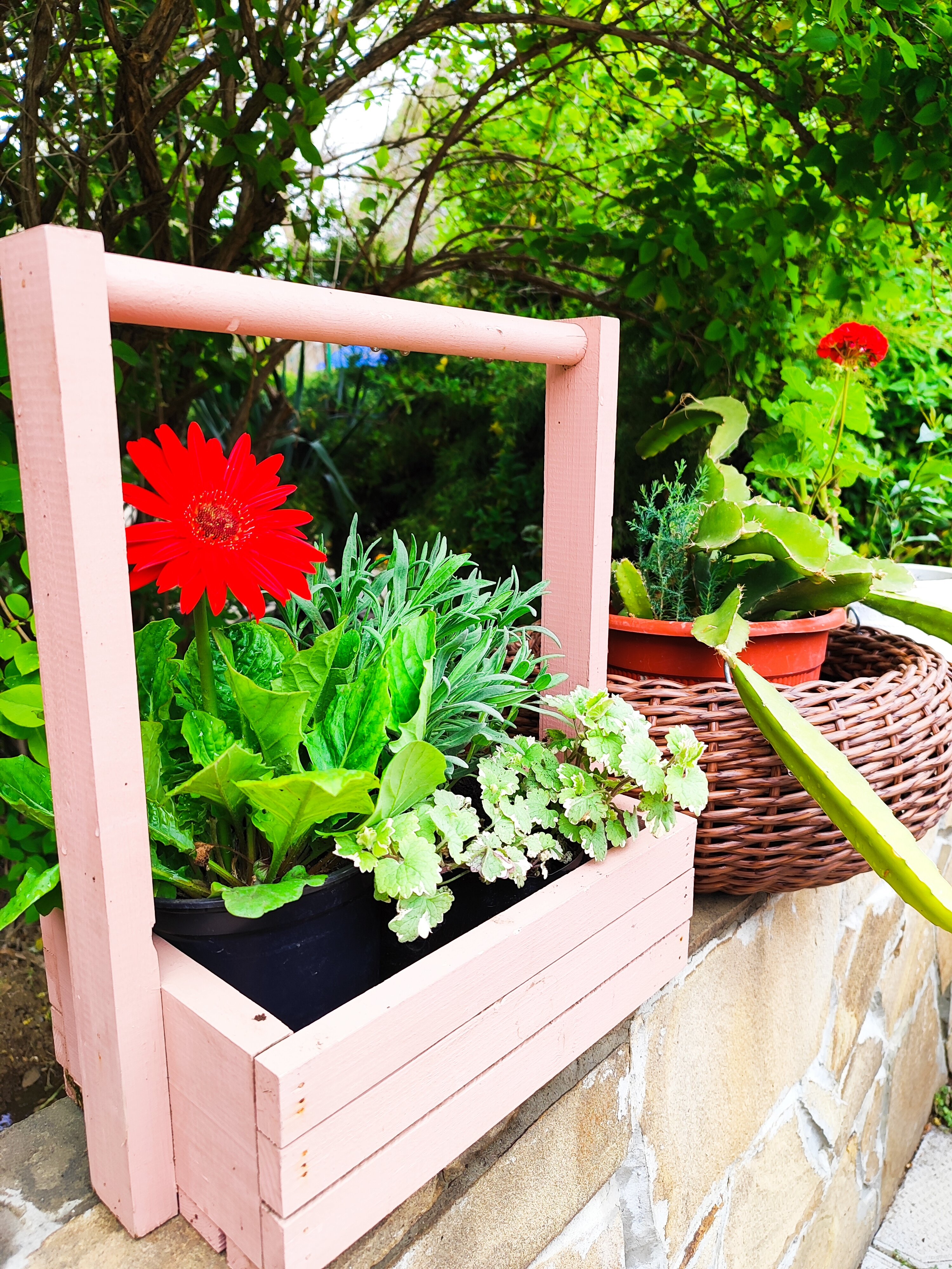 Фото Солнышко