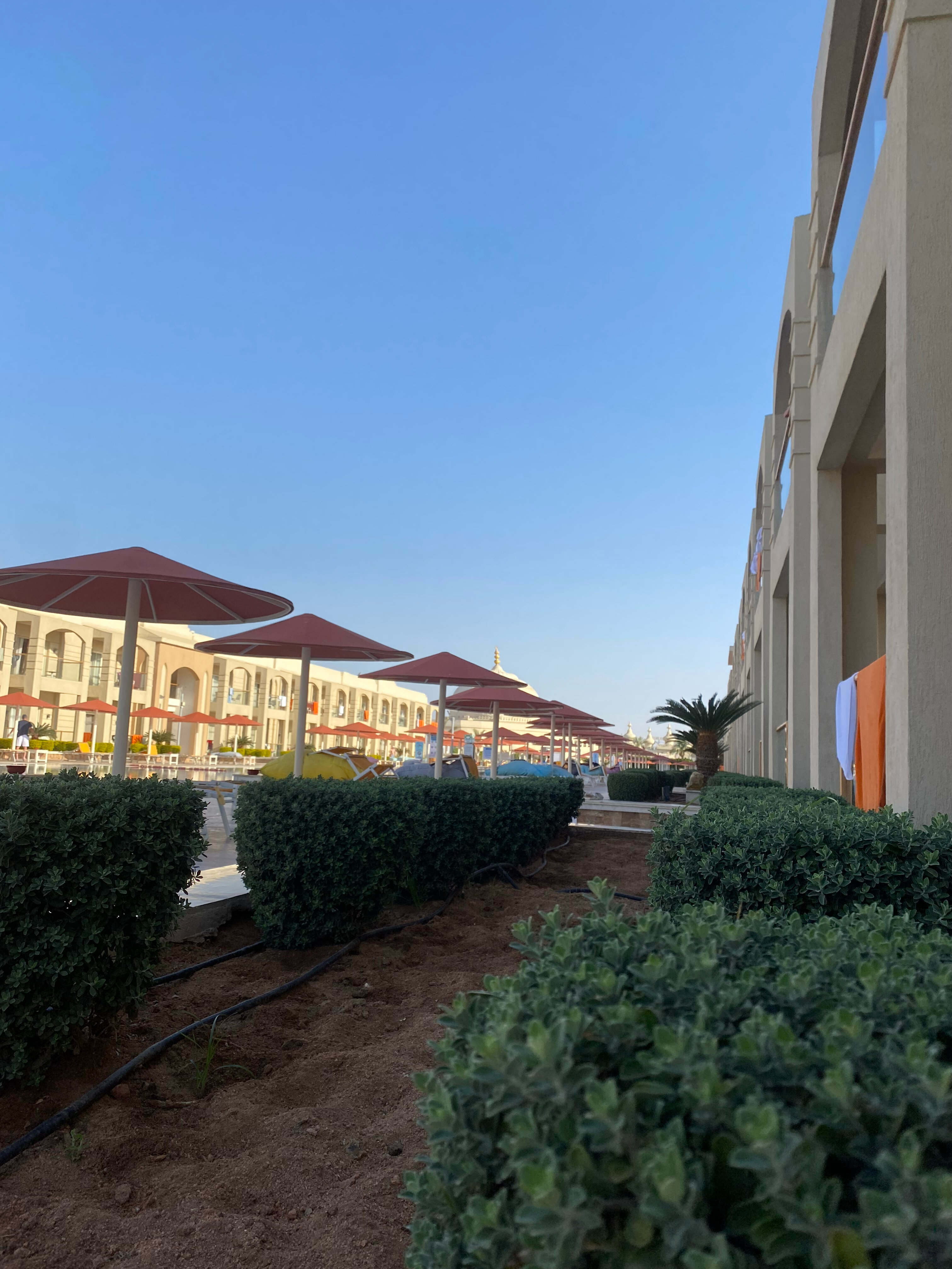 Фото Pickalbatros Aqua Park Resort