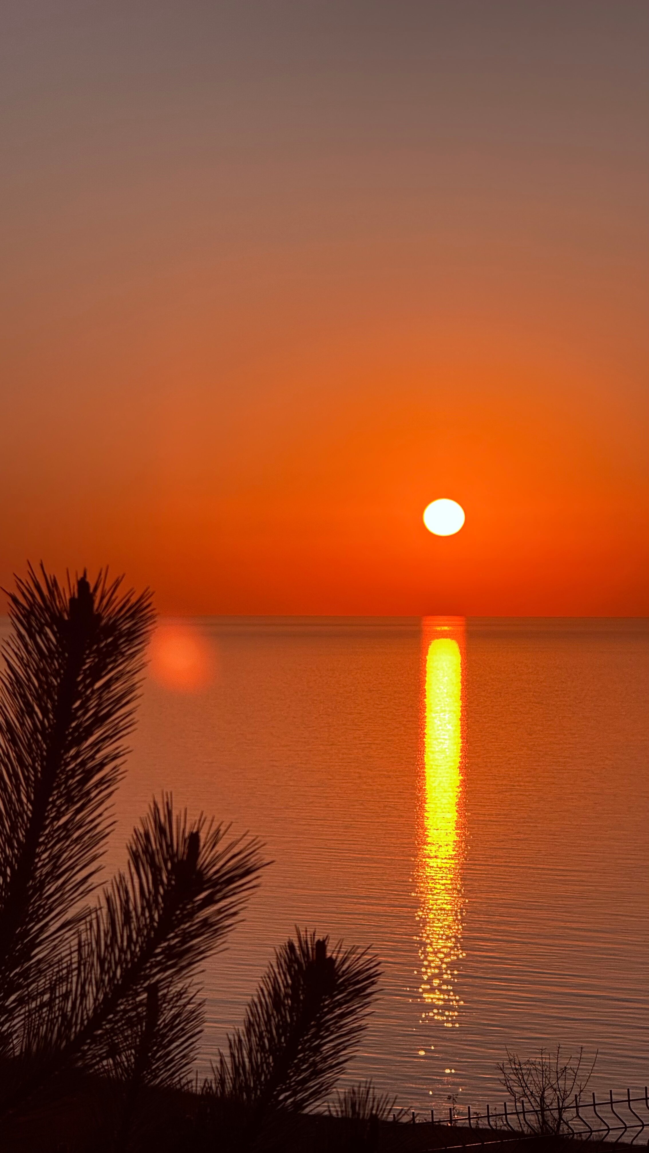 Фото Fiolent Village Angetur