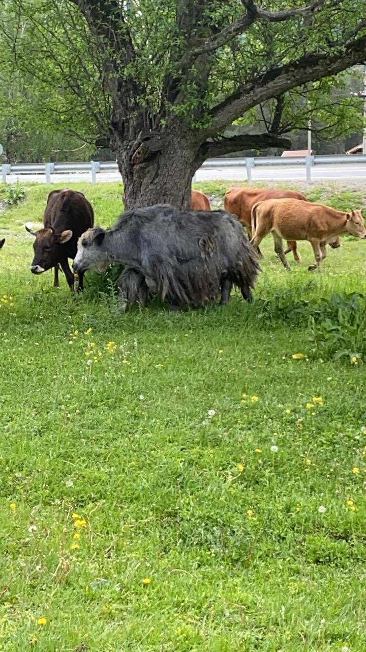 Фото Архыз и точка