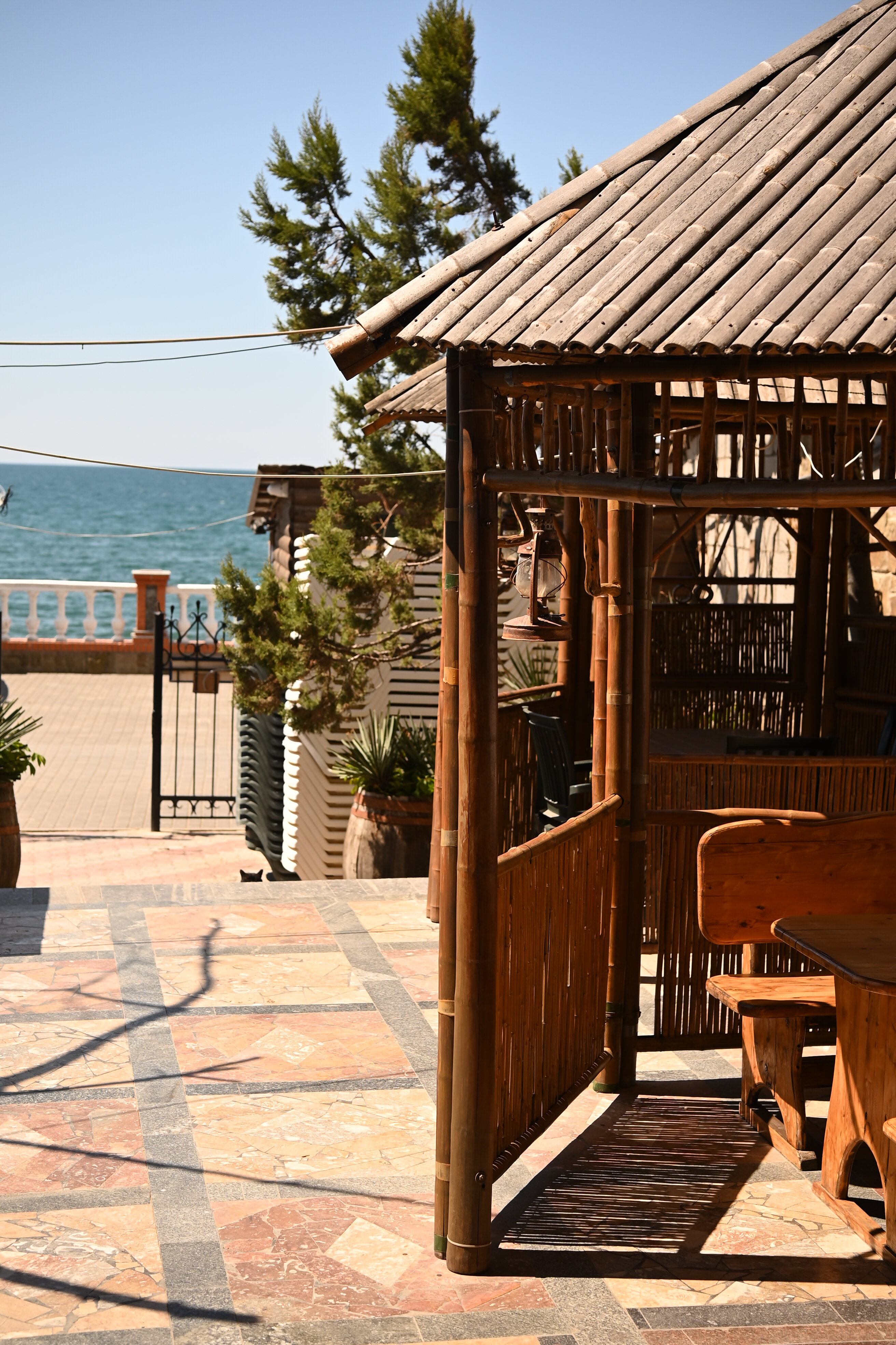 Фото Миллениум