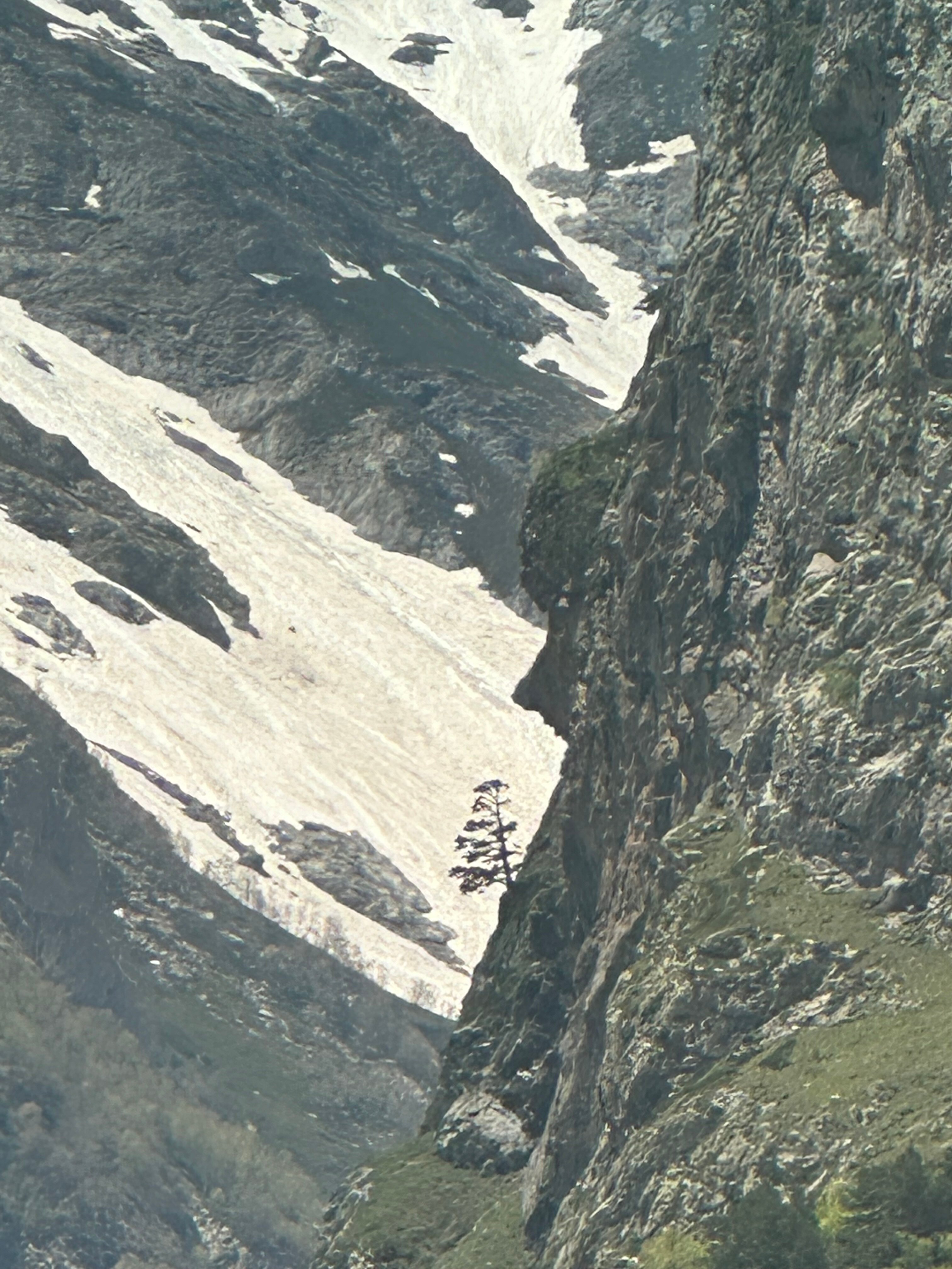 Фото Балкария-Фрэйм