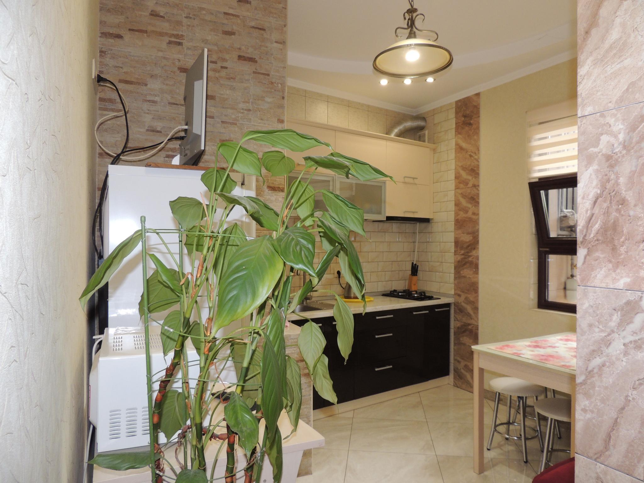 Фото Дом Кокос