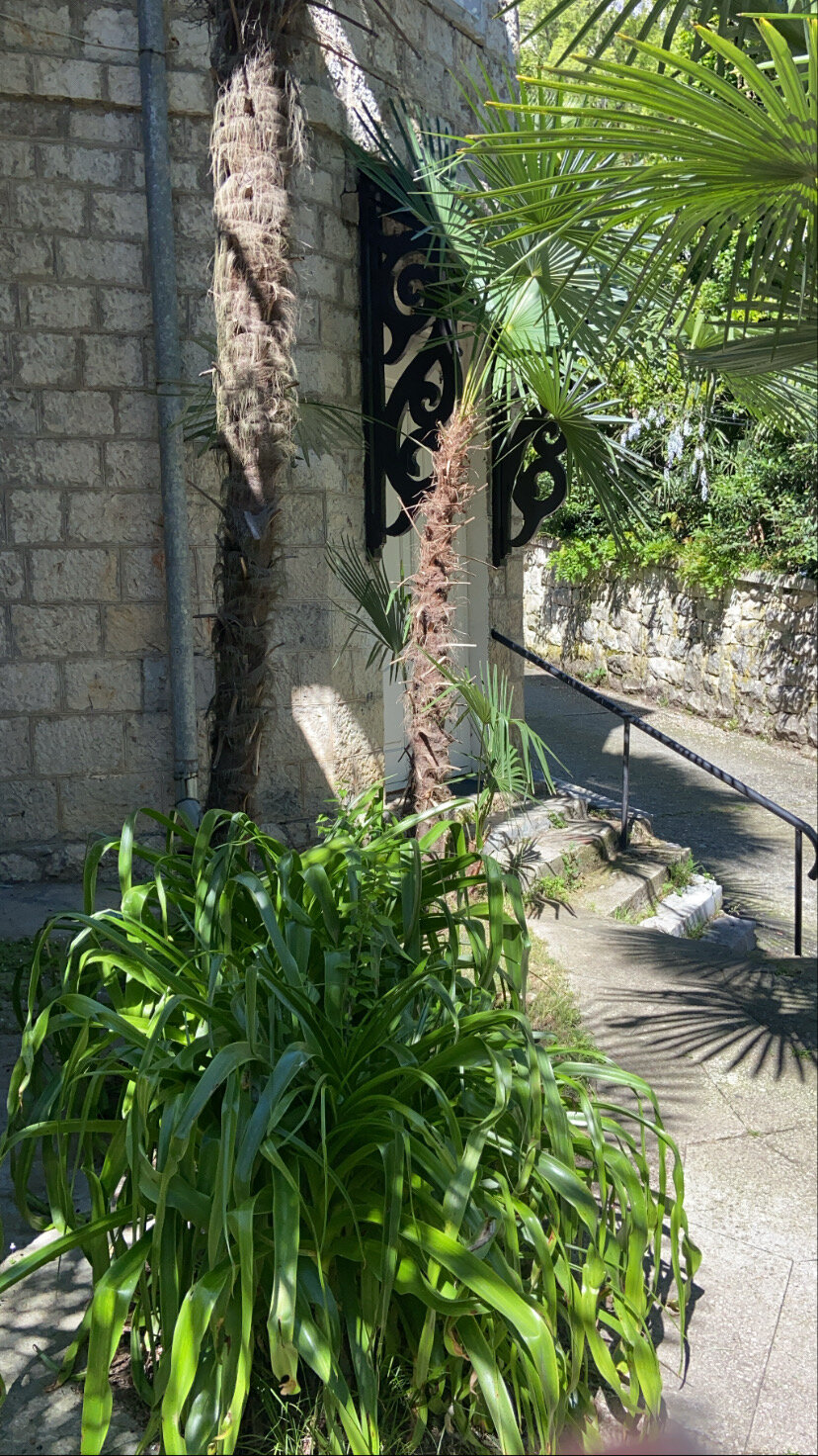 Фото Замок 1910г в Старых Гаграх