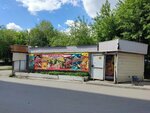 Produktovy magazin (Chelyabinsk, Katernaya ulitsa) ، محل بقالة