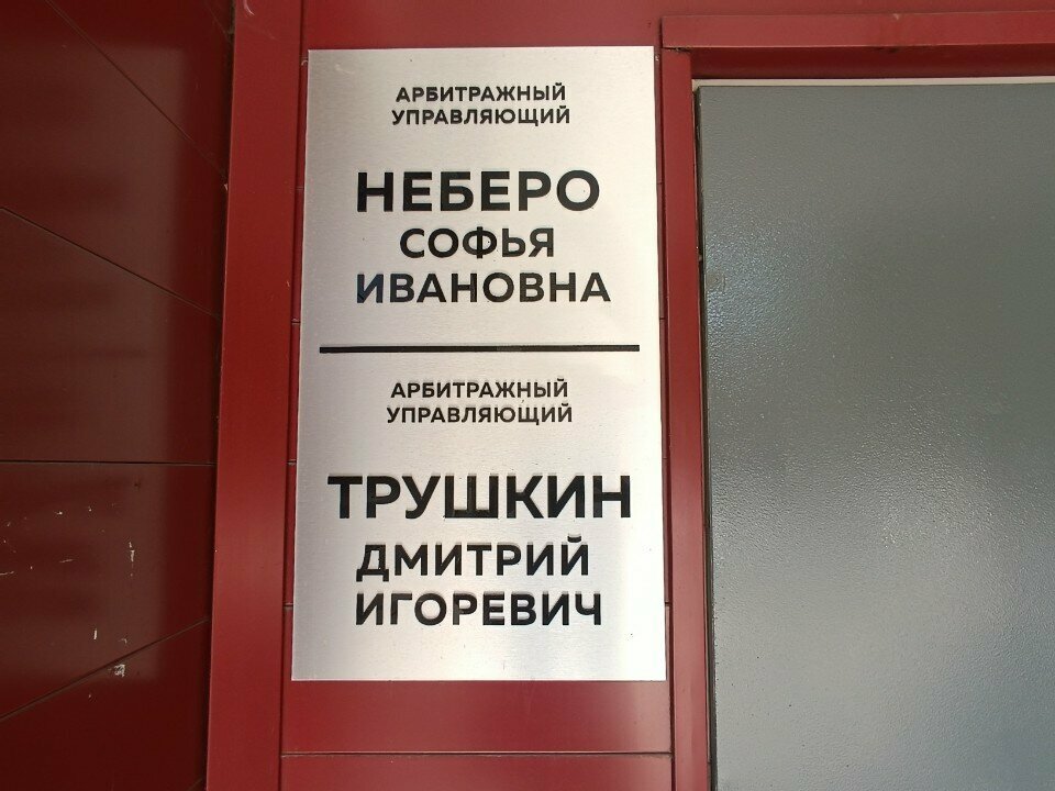 محكمة التحكيم Арбитражный управляющий Неберо Софья Ивановна ، تشيليابينسك، صورة