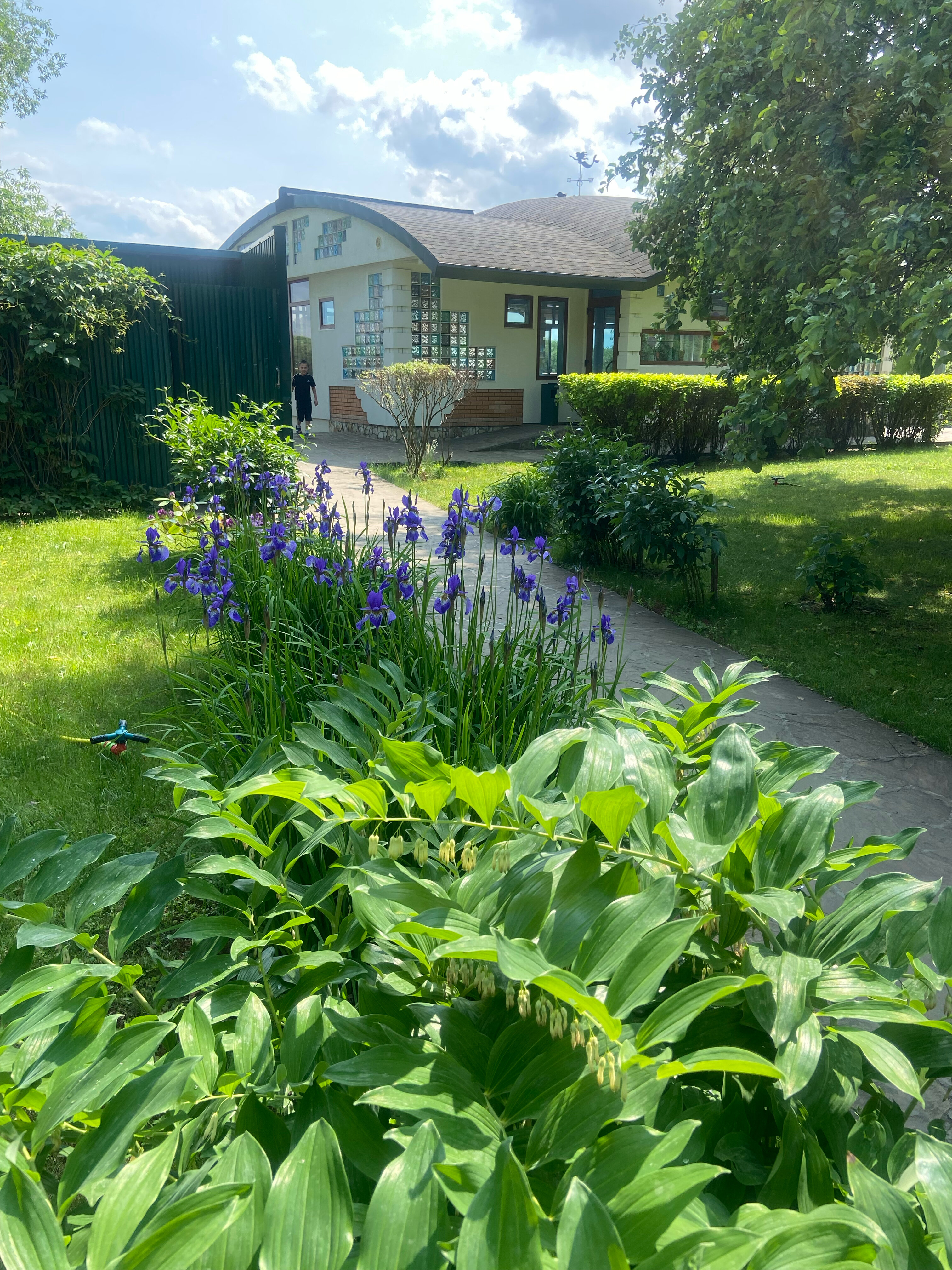 Фото Ваша Гавань