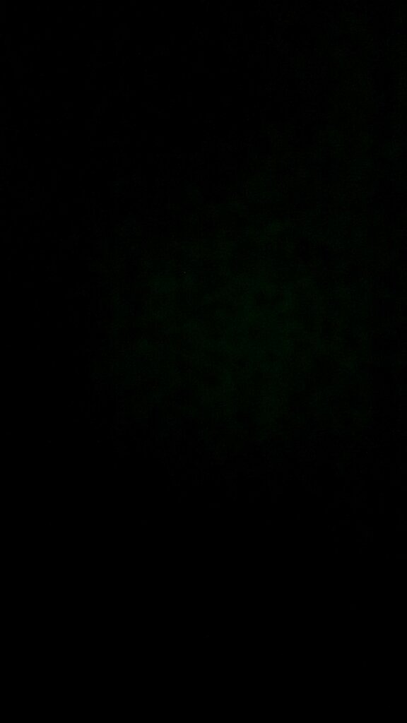 Clothing store Borgess, Tashkent, photo