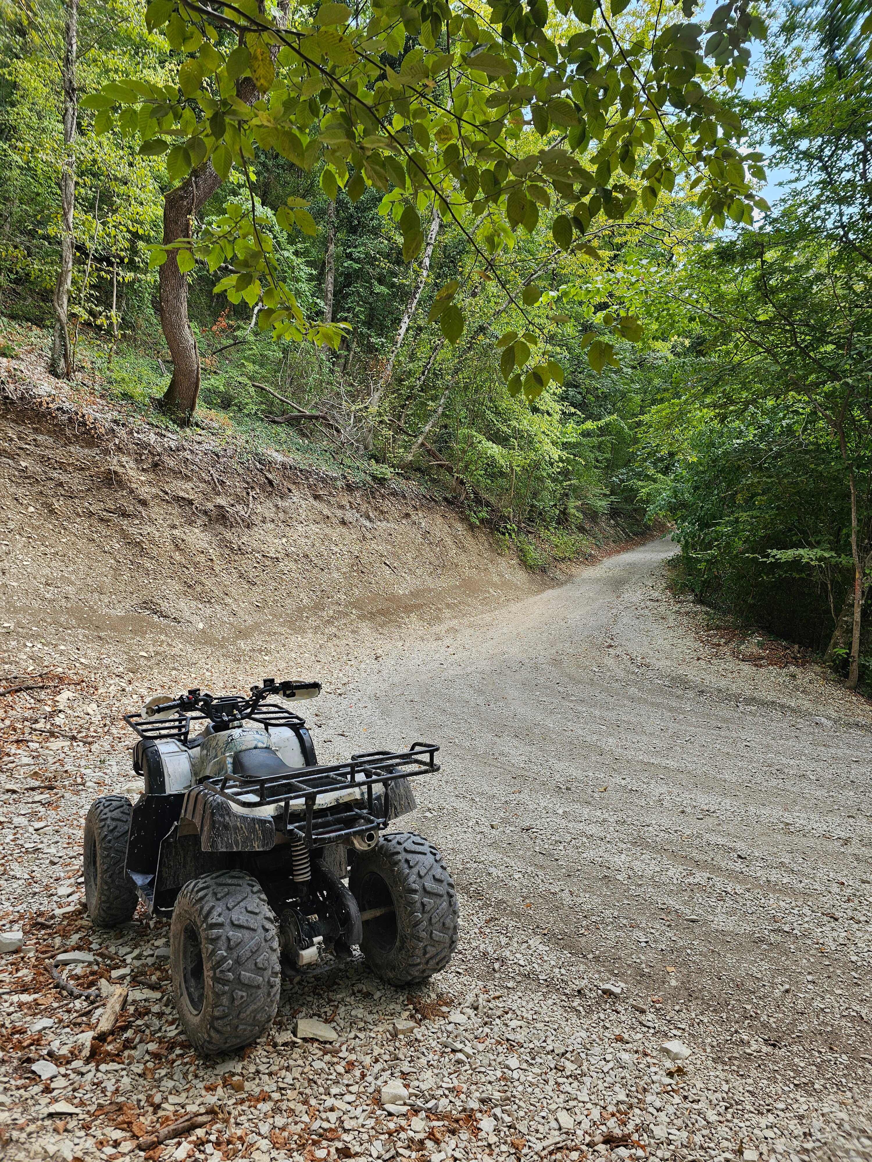 Фото Лесное местечко