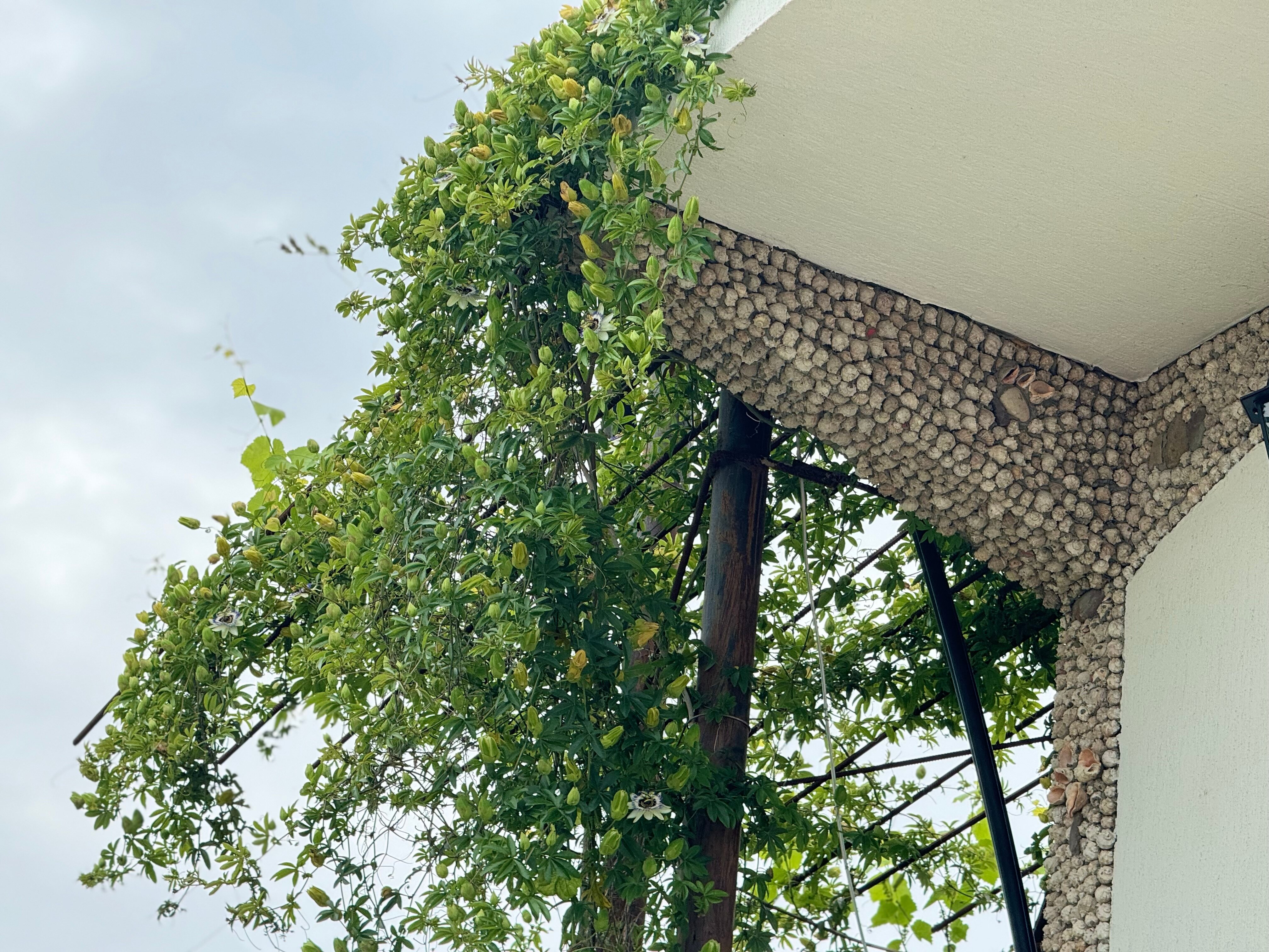 Фото Hotel Damir