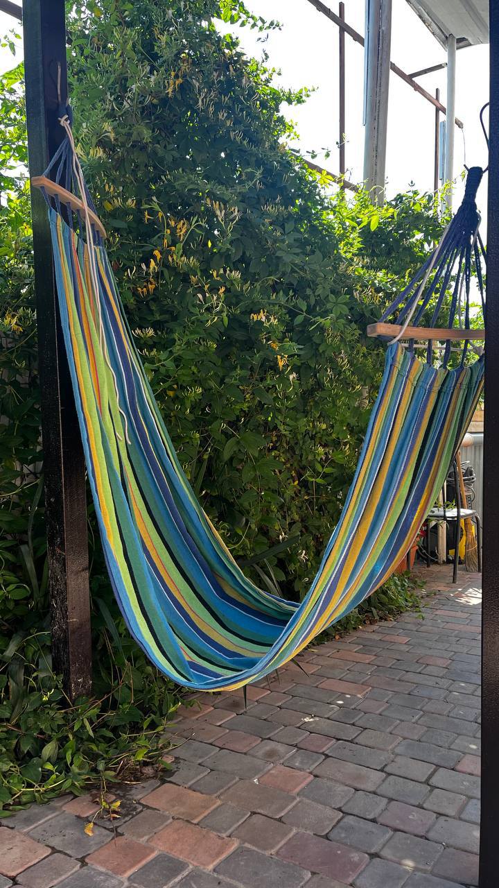 Фото Подсолнух