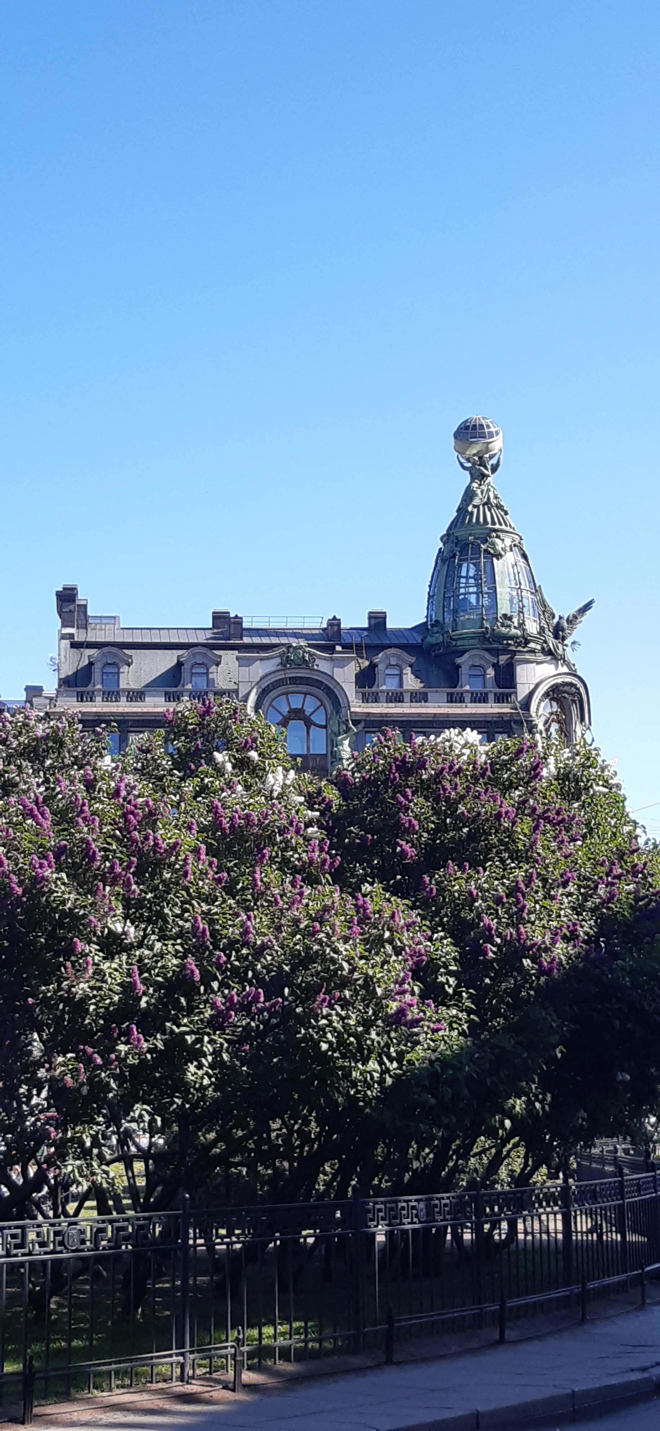 Фото Рапсодия