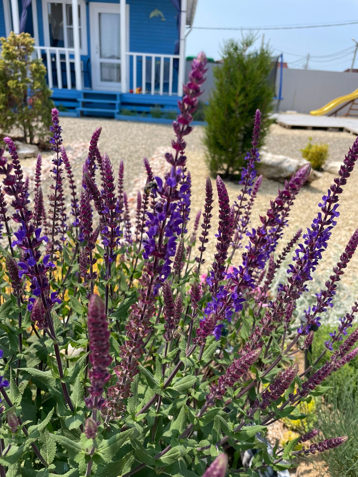 Фото 7 Ветров