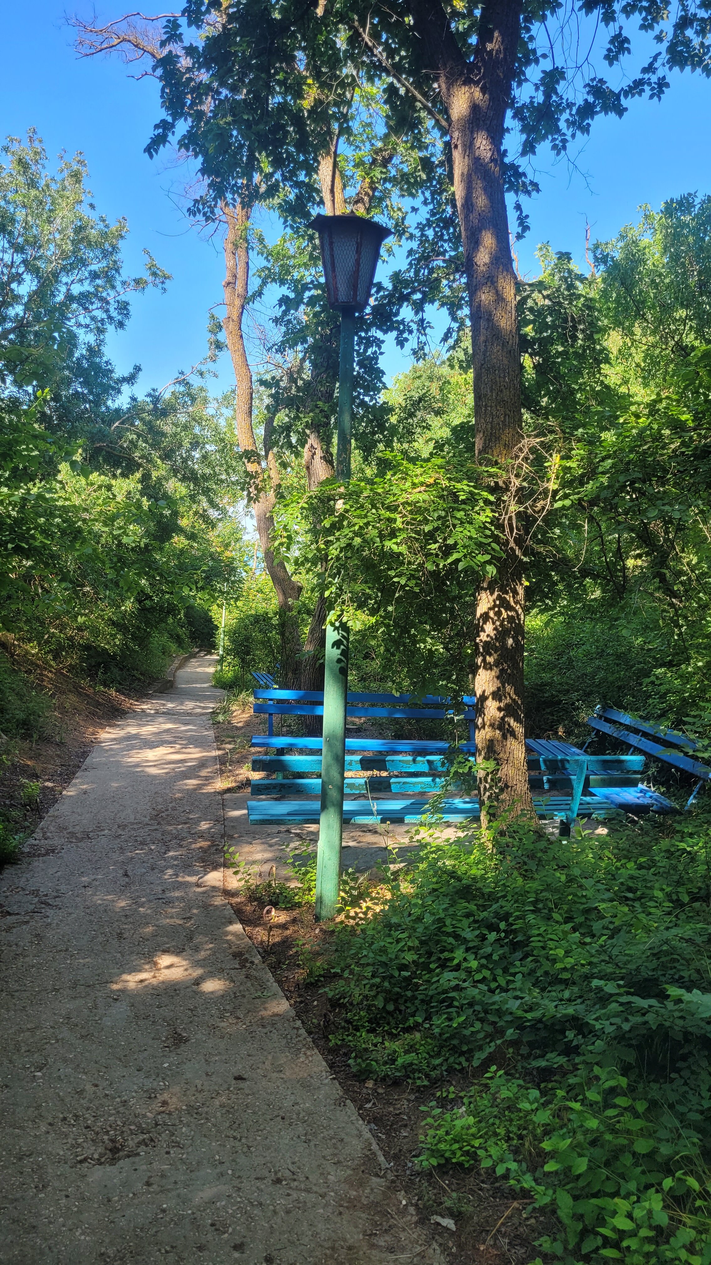 Фото Тимора