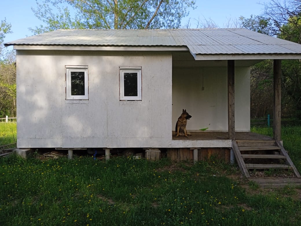 Фото Золотая Дельта