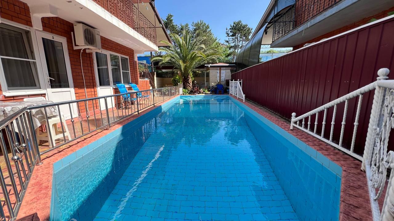 Фото Камелия