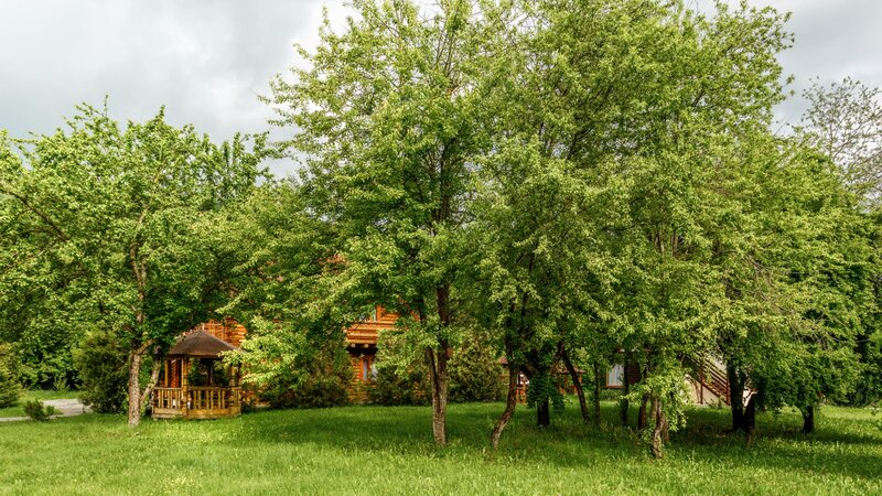 Графская поляна — фото 50