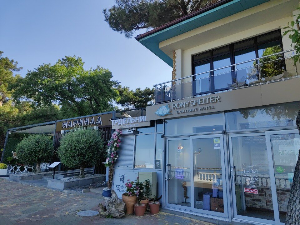 Фото Рони Шелтер