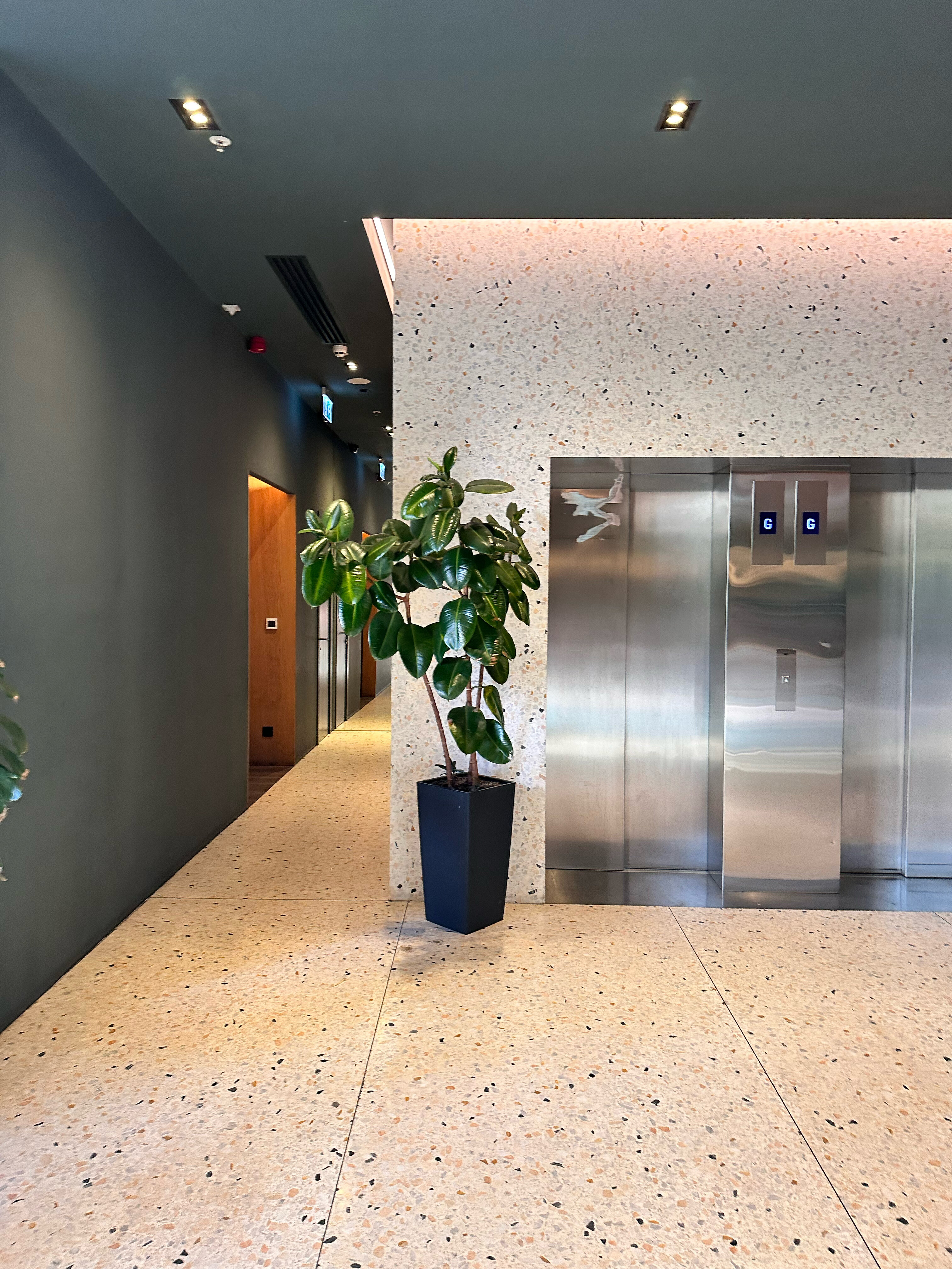 Фото Episode Tbilisi