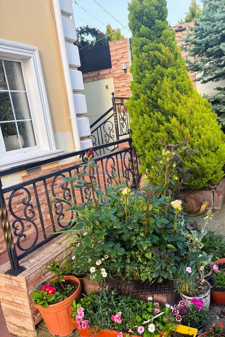 Фото Солнечный