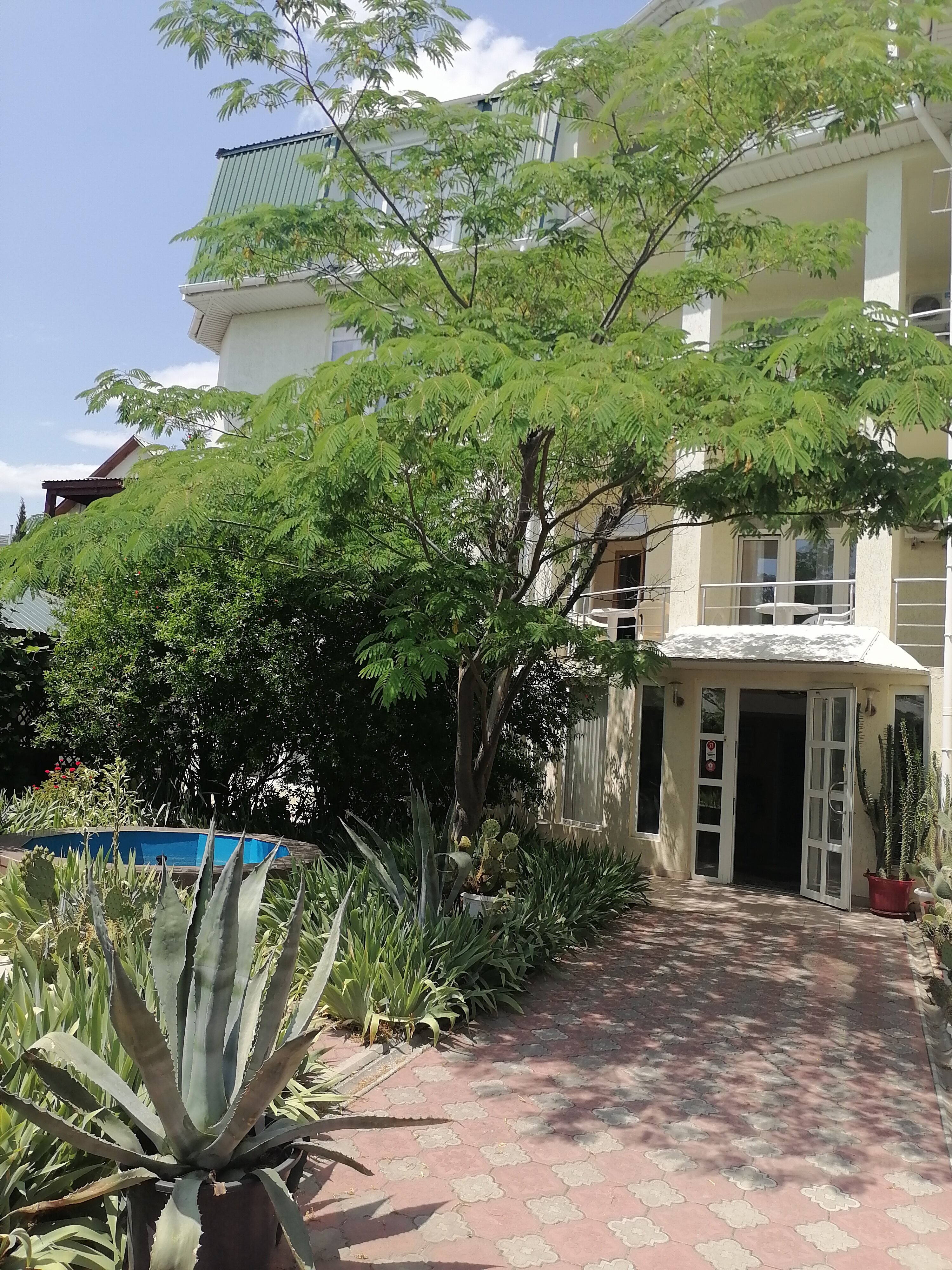 Фото Московский